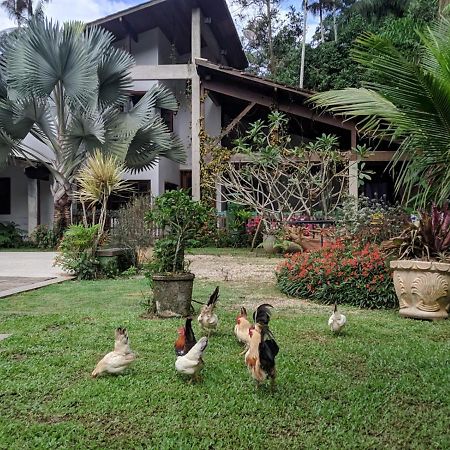 Casa Na Floresta Apartment Penedo  Ngoại thất bức ảnh